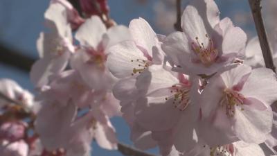 ICTコミュニティチャンネル